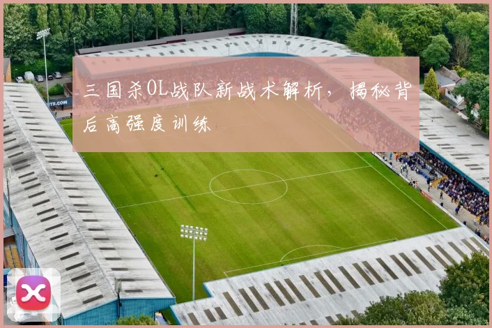 三国杀OL战队新战术解析,揭秘背后高强度训练
