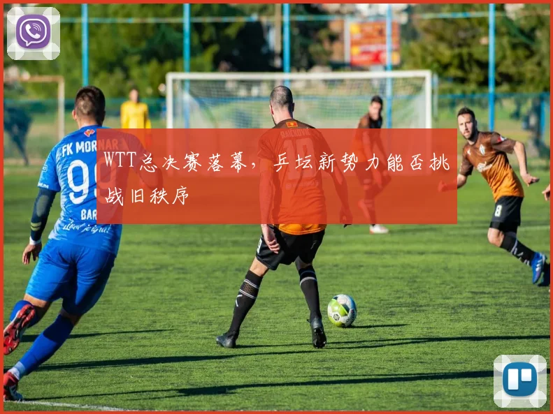 WTT总决赛落幕，乒坛新势力能否挑战旧秩序