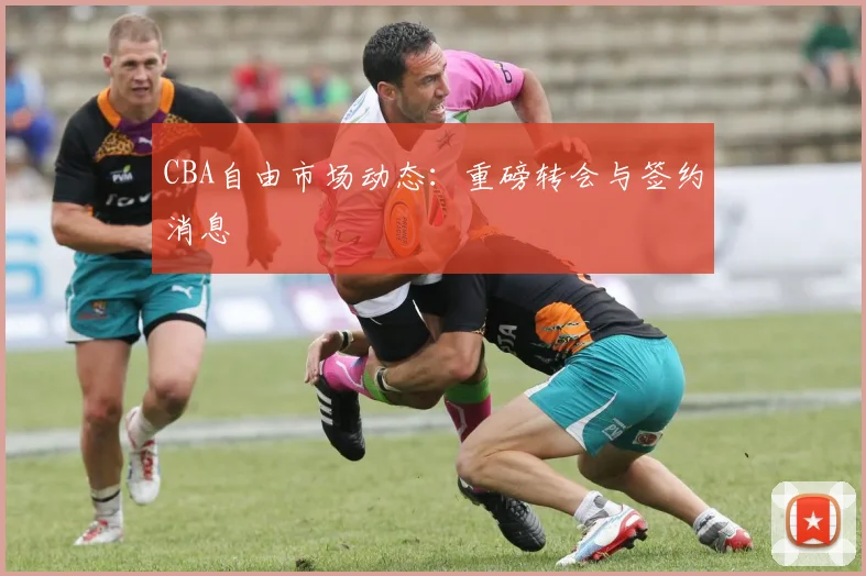 CBA自由市场动态:重磅转会与签约消息