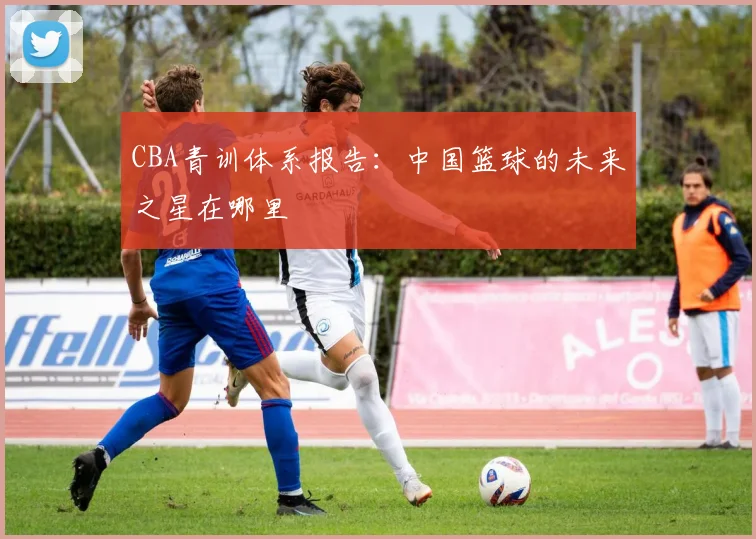 CBA青训体系报告:中国篮球的未来之星在哪里