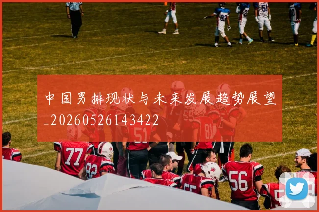 中国男排现状与未来发展趋势展望_20260526143422